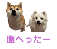 844336135