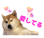 844336136