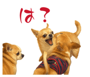 844336377