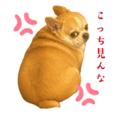 844336379