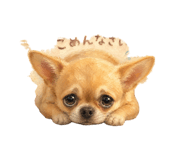 844336383