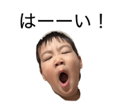 844336558