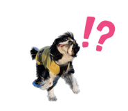 844336604