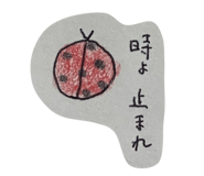 844336654