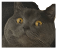 844336879