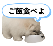 844336976