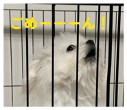 844336984