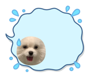 844336990