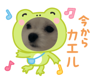 844336994