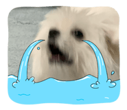 844336998