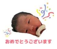 844337066