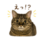 844337115
