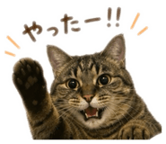 844337127