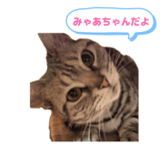 844337193