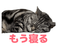 844337198