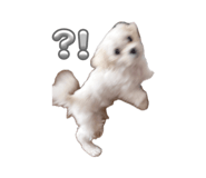 844337645