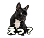 844337833