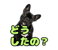 844337835