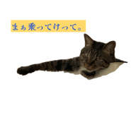 844337882