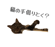 844337885