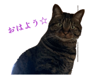 844337886