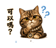 844337898