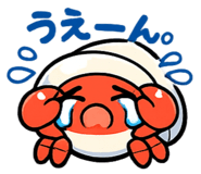 844337954