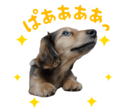 844338012