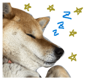 844338107