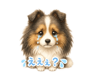 844338330