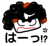 844338455