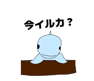 844338547
