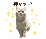 844338729