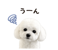 844338863