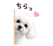 844338864