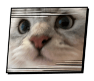 844339208