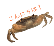 844339209