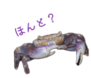 844339212
