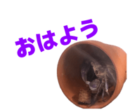 844339221