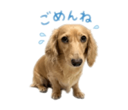 844339396