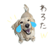 844339398