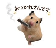 844339400