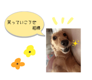 844339403