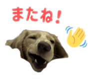 844339405