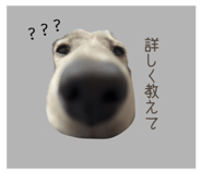 844339407