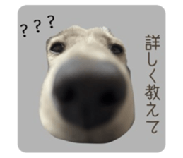 844339855