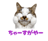 844340357
