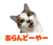 844340358