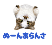 844340365