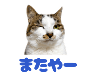 844340368